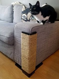 Protéger son canapé avec ce griffoir d'angle pour chat