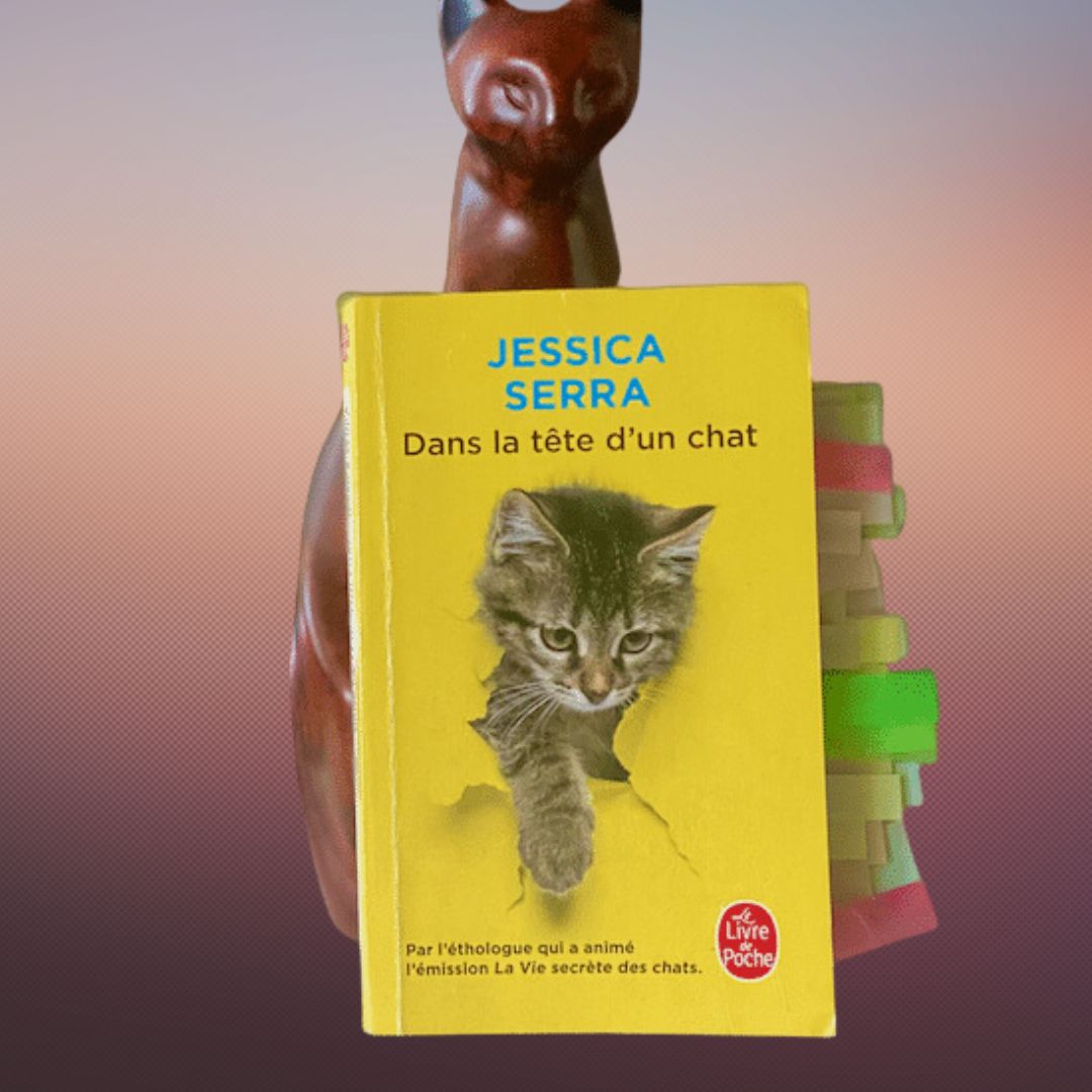Livre de Jessica Serra, dans la tête d'un chat